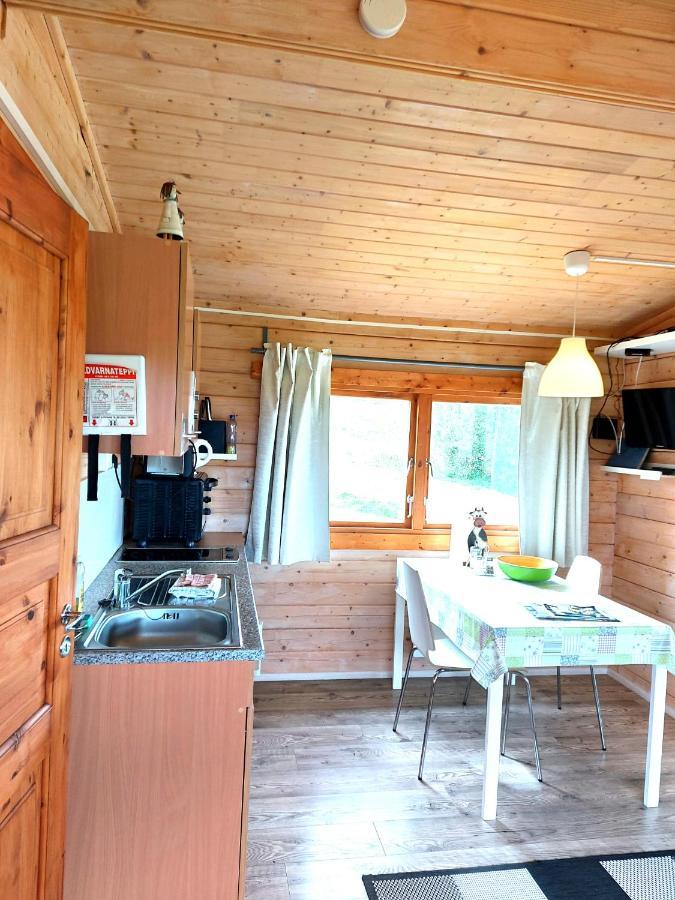 Asgeirsstathir Holiday Homes Extérieur photo